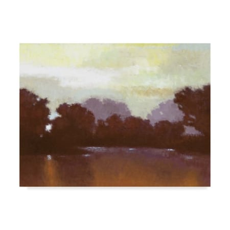 Norman Wyatt 'Golden Pond I' Canvas Art,18x24